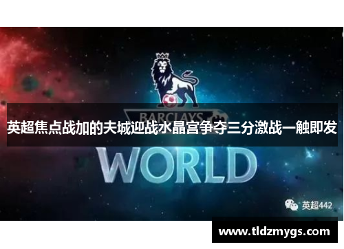 英超焦点战加的夫城迎战水晶宫争夺三分激战一触即发